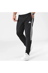 Men's Sweatpants