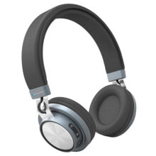 BLAUPUNKT AUDIO BLP4100 wireless headset