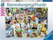 Puzzles for children