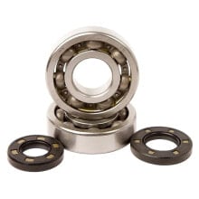 HOTRODS Kawasaki Kdx 250 91-94/Kx 250 87-01 Crank Shaft Bearing Kit