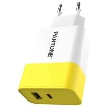 PANTONE UNIVERSE PT-PDAC02Y USB-C And USB-C Wall Charger