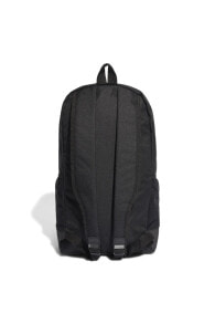 Sports and urban backpacks