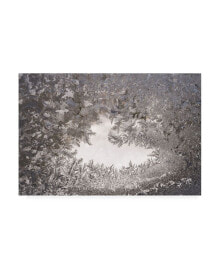 Trademark Global kurt Shaffer Photographs Ice crystal mosaic on my window Canvas Art - 15.5