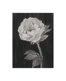 Trademark Global ethan Harper Black and White Flowers II Canvas Art - 19.5