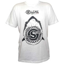 Men's sports T-shirts and T-shirts