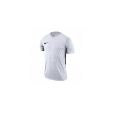Мужские спортивные футболки Мужская футболка спортивная серая однотонная для бега Nike Dry Tiempo Premier