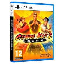 PLAYSTATION GAMES PS5 Cobra Kai 2 Dojos Rising