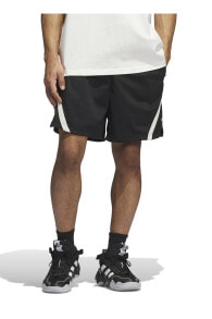 Men's Sports Shorts