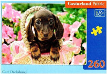 Детский развивающий пазл Castorland Puzzle 260 Cute Dachshund