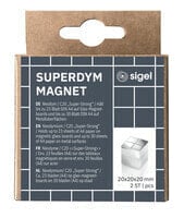 Sigel BA706 - Cube - Neodymium - Silver - Gloss - 20 mm - 20 mm