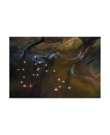 Trademark Global raymond Ren Rong Flying Over Lake Magadi 3 Canvas Art - 37