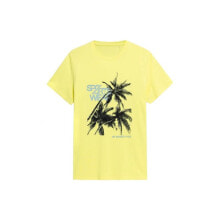 Мужские спортивные футболки мужская спортивная футболка желтая с принтом T-shirt 4F M H4L22-TSM039 light yellow