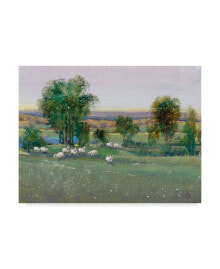 Trademark Global tim Otoole Field of Sheep II Canvas Art - 37