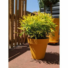 Plant pot Riviera Yellow Ø 60 cm