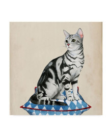 Trademark Global grace Popp Lady Cat I Canvas Art - 20