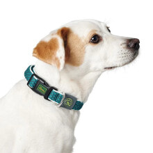 HUNTER PET Vario Basic Hilos Dog Collar