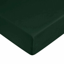 Fitted sheet Harry Potter Green 70x140 cm