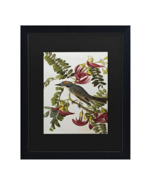 Trademark Global john James Audubon Gray Tyrant Gray Kingbird Matted Framed Art - 15