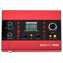 Купить аудио- и видеотехника Focusrite: Focusrite RedNet X2P