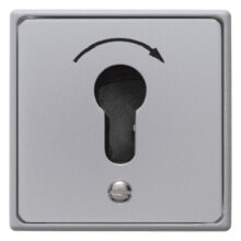 Sockets, switches and frames berker 4450 - Key-operated switch - Grey - Metal - Plastic - IP44 - 250 V - 75 mm