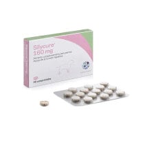 KARIZOO Silycure 160mg Pet Supplement 30 Units