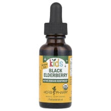 Kids, Black Elderberry, Alcohol Free, 1 fl oz (30 ml)