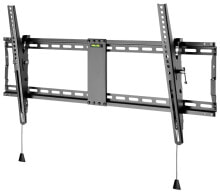 Brackets, holders and stands for monitors Wentronic