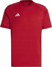 Men's sports T-shirts and T-shirts