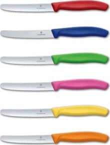 Купить кухонные ножи Victorinox: Victorinox Victorinox Swiss Classic table knife 6 tlg. bunt