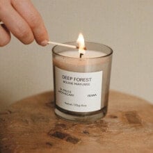 Deep Forest Scented Candle