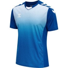 Men's sports T-shirts and T-shirts