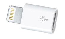 Купить запчасти и расходные материалы для мототехники 3GO: 3GO Micro-Usb H To Lightning Adapter