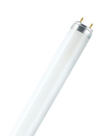 Лампочки osram Lumilux De Luxe T8 люминисцентная лампа 58 W G13 Холодный дневной свет A 4008321090034