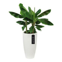 Plant pot Elho White Plastic Circular Ø 35 cm Ø 34,5 x 61,5 cm