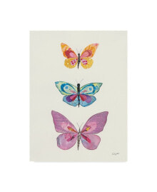 Trademark Global courtney Prahl Butterfly Charts III Canvas Art - 37