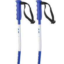 Nordic walking sticks and trekking poles