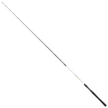 RENZO VALDIERI Clear Bass Spinning Rod