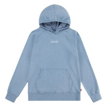 LEVI´S ® KIDS Lived-In hoodie