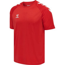 Men's sports T-shirts and T-shirts