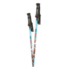 Nordic walking sticks and trekking poles