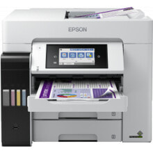 Принтеры и МФУ Epson купить от $2034