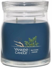 Duftkerze im Glas Zeder mit 2 Dochten - Yankee Candle Bayside Cedar