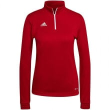 Sweatshirt adidas Entrada 22 Top Training W H57551