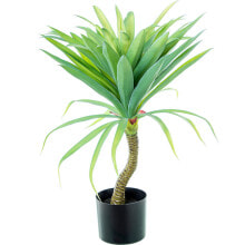 Decorative Plant Alexandra House Living Plastic Yucca 70 cm