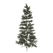 Tannenbaum Flemma III