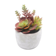 Decorative Plant Versa Ceramic Plastic 12,7 x 15,24 x 12,7 cm