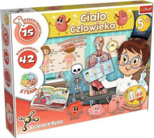 Educational and educational toys