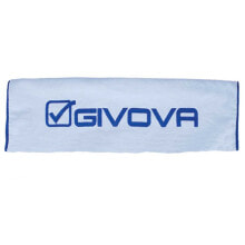 Аксессуары для плавания Givova