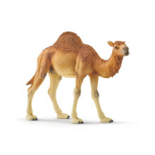 Фигурка SCHLEICH Одногорбый верблюд 14832