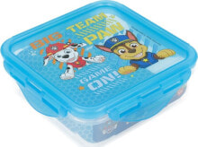 Containers and lunch boxes